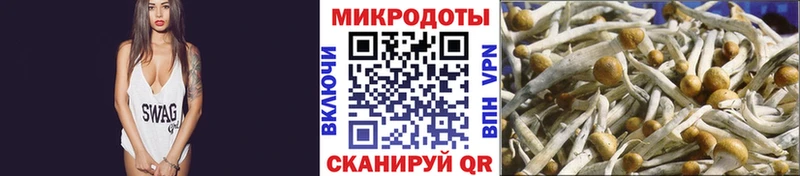 где найти наркотики ОМГ ОМГ зеркало Псилоцибиновые грибы Magic Shrooms Перевоз